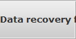 Data recovery for Fort Myers data