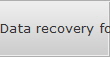 Data recovery for Fort Myers data